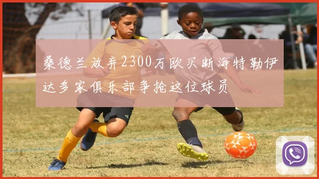 桑德兰放弃2300万欧买断海特勒伊达多家俱乐部争抢这位球员