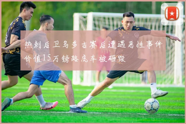 热刺后卫乌多吉赛后遭遇恶性事件价值15万镑路虎车被砸毁
