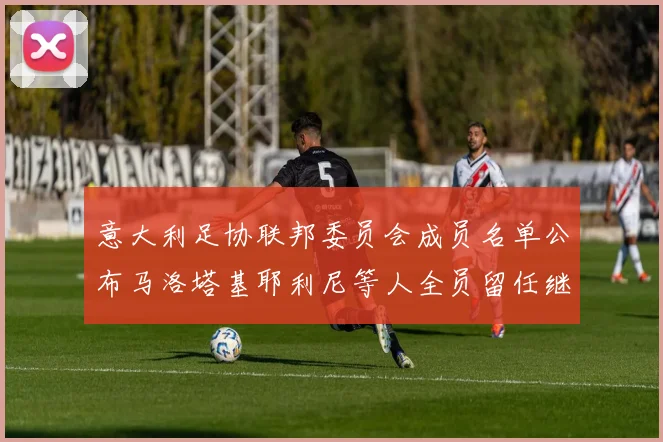 意大利足协联邦委员会成员名单公布马洛塔基耶利尼等人全员留任继续服务